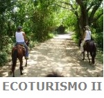 course